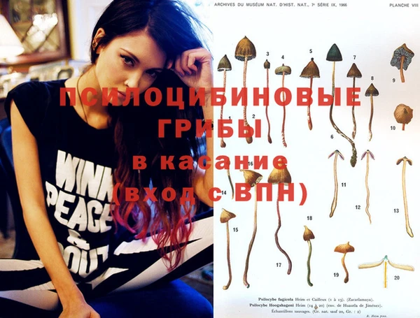 бошки Беломорск