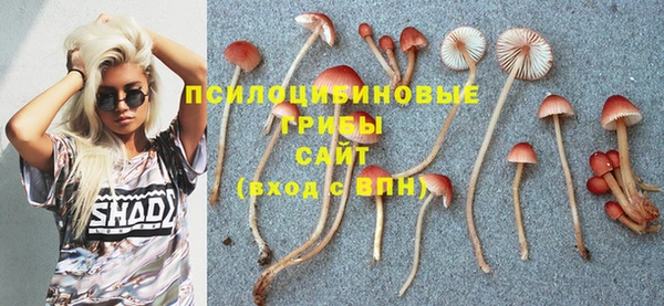 бошки Беломорск